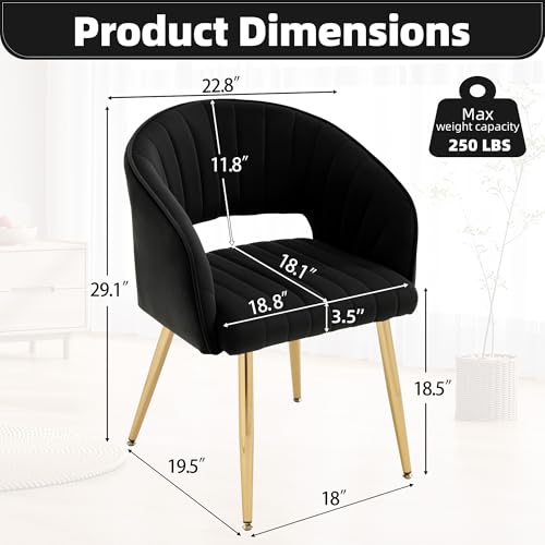 Velvet Home Office Desk Vanity Chair, No Wheels, Gold Legs, Black | Modern Accent Chair with Stylish Stripe Design, Spacious‌ Soft Seat for Girls & Women Bedroom Makeup or Nail Table - color: Black Velvet, No Wheels