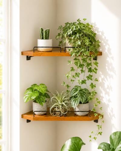 Bamworld Corner Shelf Wall Mounted Floating Corner Shelves 13 Inch Black Iron & Wood Plant Shelves Window Shelf for Plants 2 Pack