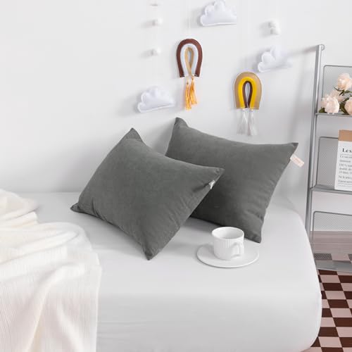 NTBAY Tiny Pillows, Set of 2, 7"x11", Dark Grey | Mini Microfiber Pillows with Down-Alternative Fill, 2 Pack 7 x 11 Inch Pillows for Small Cases, Travel, Crafts, and Decor - color: Dark Grey, size: 11"x7"
