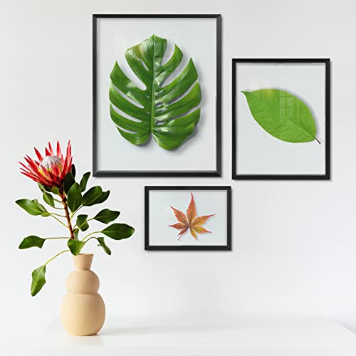 Golden State Art 7 Pack Aluminum Floating Frames Included 5x7 8x10 11x14 | Black, One 11x14 Two 8x10 Four 5x7 Frames, Wall Mount Display, Fit for Pictures, Pressed Flowers Any Size up to Frame Size - color: Black, size: Floating Style