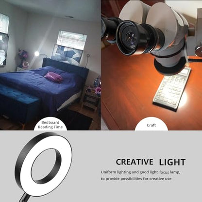 Woputne Desk Lamps Clip on Reading Light for Bed Home Office Craft (Black) | With 5V 2A Adapter, 10 Dimmable Brightness 3 Modes, Flexible Neck Light Desk Lamps for Home Office Headboard - size: Black-1 Piece-Standard-With Adapter