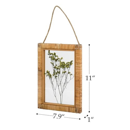 NIKKY HOME Rattan Framed Botanical Wall Art Set of 2 Natural Dried Flowers Grass Plant Artwork with Clear Glass Display Frame and Jute Rope Gallery Wall Decor Living Room Decor
