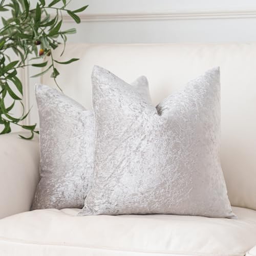 NiNi ALL Silvergrey Velvet Throw Pillow Covers 20x20 Set of 2 Sofa Decor | Soft Solid Shine Cushion Squar Decorative Pillow Cases for Couch Chair Bedroom Farmhouse Living room Modern Luxury Home - color: Silver Grey, size: 20" x 20" (Pack of 2)