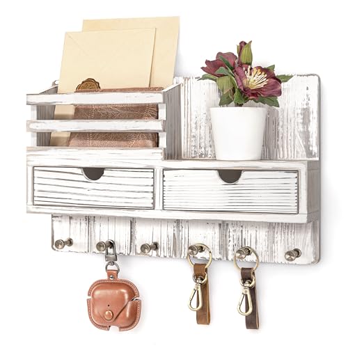 Rebee Vision Key Holder Wall Mount with 2 Drawers for Apartment, Whitewash | Key and Mail Holder for Wall, 6 Key Hooks, Shelf, Plant Display, Drawer Organizer, Mail Sorter, Home Storage Essentials - color: Whitewash