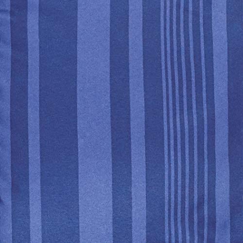 Amazon Basics Twin/Twin XL Comforter Set with Sheets, 5-Piece Blue Calvin Striped Bedding, Lightweight Microfiber Bed-in-a-Bag, Machine Washable - color: Blue Calvin Stripe, size: Twin/Twin XL, style: 1-Pack