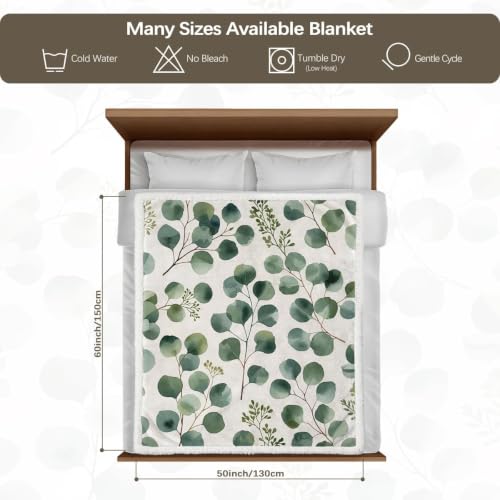 MILANKET Eucalyptus Sherpa Blanket Botanical Leaf Throw Blanket | Sherpa; Soft; Eucalyptus Sherpa Blanket Botanical Leaf Throw; Fuzzy; Cozy; Plush; for; Couch; Bed; Warm; Blankets; Minimal - color: Eucalyptus, size: Throw(50"x60")