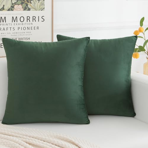Velvet Decorative Throw Pillow Covers, Soft Square Cushion Case Home Decor for Living Room Couch Bed Sofa, Set of 2 Pack, Dark Green, 18x18 Inch - color: Dark Green, size: 18" x 18" (Pack of 2)