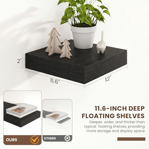 12 Inch Deep Floating Shelves, 12'' x 12'' Black Shelves Set of 2 | Invisible Brackets, Engineered Wood, Mounting Hardware Included, 30LBS, Bathroom, Laundry Room, Kitchen, Living Room - color: Black, size: 12W x 11.6D x 2H, 2 Pack