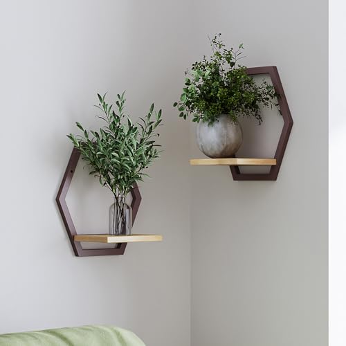 2 Pack Solid Wood & Metal Framework Wall Plant Stands,9 inch Natural Wood Shelf of Indoor,Mid Century Modern Hanging Planter for Outdoor Entryway 25 LB Load for Plants Coffee - color: 2 pack coffee