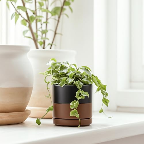 D'vine Dev 2-Pack Ceramic Pots with Saucers, Black/Tan, 3.5 in, 94-V-A-7 | Modern Cylinder Design, Glazed Ceramic, Drainage Hole & Saucer Included, High Temperature Fired, Elegant Home Accent - color: Black/Speckled Tan, size: 3.5 Inch