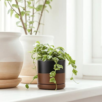 D'vine Dev 2-Pack Ceramic Pots with Saucers, Black/Tan, 3.5 in, 94-V-A-7 | Modern Cylinder Design, Glazed Ceramic, Drainage Hole & Saucer Included, High Temperature Fired, Elegant Home Accent - color: Black/Speckled Tan, size: 3.5 Inch
