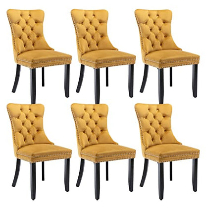 Virabit Velvet Upholstered Chairs Set of 6, Tufted Dining Chairs with Nailhead Back and Ring Pull Trim, Solid Wood for Kitchen/Bedroom/Dining Room (Gold) - color: Gold, size: set of 6