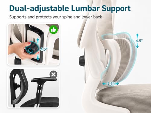 Ergonomic Office Chair with Adjustable Headrest & Lumbar Support, High Back Mesh Desk Chair, 330 LBS Capacity Swivel Computer Chair with Flip-Up Arms, Home Office Gaming Chair(Grey)