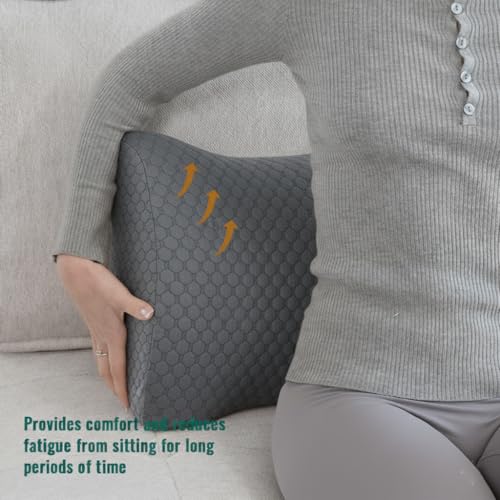 Lumbar Support Pillow Memory Foam Breathable Support for Office Chair, Car Seat, Sofa, Bed - Relieves Back, Spine, Neck Pain for Ergonomic Comfort Gray 18 * 11 * 7.5in