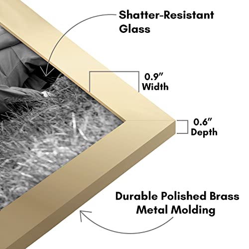 Americanflat Set of 10 Picture Frames with Shatter-Resistant Glass - Gallery Wall Frame Set with Two 8x10, Four 5x7 and Four 4x6 Frames - Signature Collection - Gold | Includes two 8x10, four 5x7 and four 4x6, shatter-resistant glass, hanging hardware inc
