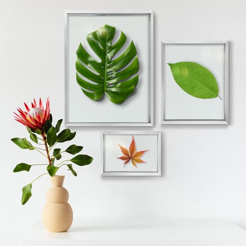 Golden State Art 7 Pack Aluminum Floating Frames Included 5x7 8x10 11x14 | Silver, One 11x14 Two 8x10 Four 5x7 Frames, Wall Mount Display, Fit for Pictures, Pressed Flowers Any Size up to Frame Size - color: Silver, size: Floating Style