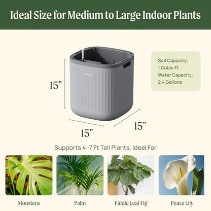 15 Inch Self-Watering Planter for Indoor Plants – Large Modern Plant Pot with Built-In Water Reservoir, Ideal for Monstera, Fiddle Leaf Fig, Palms & Peace Lily, Without Trellis (1, Fog Gray) - color: Fog Gray