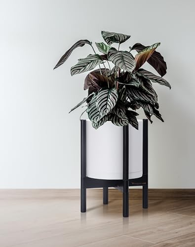 D'vine Dev Plastic Pot with Ebony Wood Stand, White, 10 in, 55-C-N-1 | Mid-Century Inspired Design, Elevated Plant Display, Clean Lines, Sturdy Support, Modern Space-Saving Style - color: Matte White Pot + Ebony Stand, size: 10 Inch