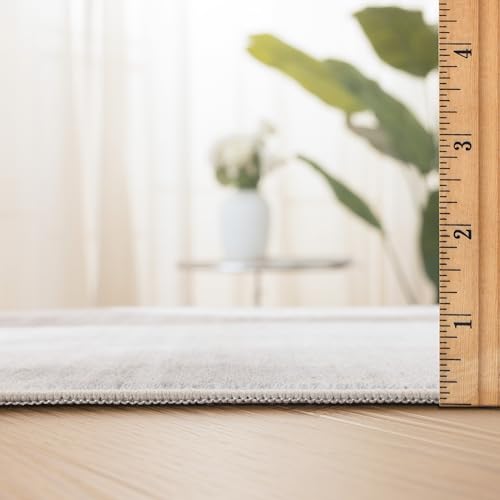 Machine Washable Area Rug Runner - Living Room Bedroom Bathroom Kitchen Entryway Office - Non-Slip Baking Low Pile Stain Resistant Premium - Modern Geometric - Lyra - Beige 2'6" x 6' - color: Lyra - Beige, size: 2'6" x 6' (Rectangular)