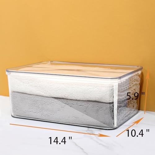 4 Large Lidded Plastic container, Clear Stackable Storage Boxes for Cabinets, Organization and Storage for Shelves Office Bathroom - size: 4Large