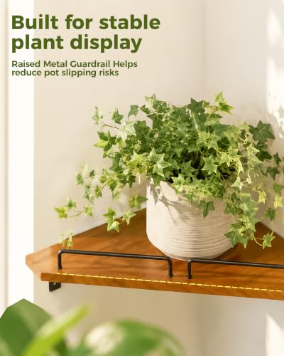 Bamworld Corner Shelf Wall Mounted Floating Corner Shelves 13 Inch Black Iron & Wood Plant Shelves Window Shelf for Plants 2 Pack