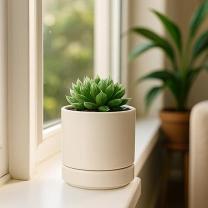 D'vine Dev 2-Pack Ceramic Pots with Saucers, Oatmeal, 4.7 in, 94-V-B-8 | Modern Cylinder Design, Glazed Ceramic, Drainage Hole & Saucer Included, High Temperature Fired, Elegant Home Accent - color: Oatmeal, size: 4.7 Inch