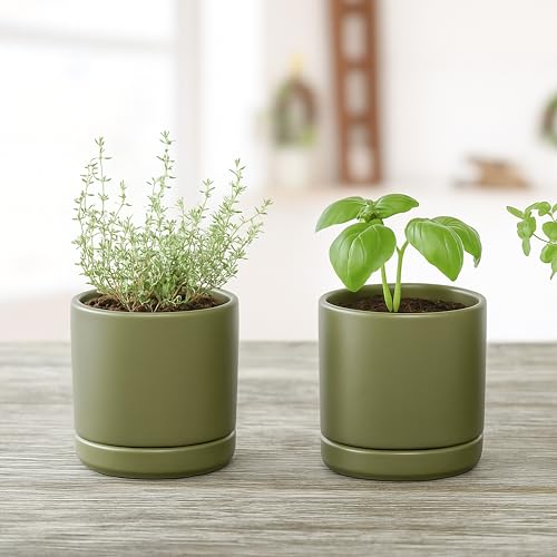 D'vine Dev 2-Pack Ceramic Pots with Saucers, Olive, 3.5 in, 94-V-A-J | Modern Cylinder Design, Glazed Ceramic, Drainage Hole & Saucer Included, High Temperature Fired, Elegant Home Accent - color: Olive, size: 3.5 Inch
