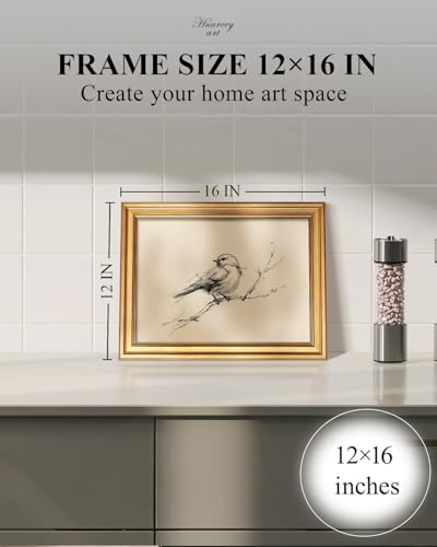 HUARCEY Gold Framed Vintage Bird Sketch Spring Wall Art Decor 12"X16" | Antique Minimalist Natural Line Drawing Painting Print, Animal Pictures Canvas Artwork Farmhouse Rustic For Bathroom Office - color: Bird Hand-Drawn, size: 16"L x 12"W