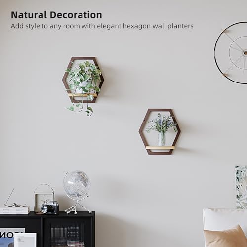 2 Pack Solid Wood & Metal Framework Wall Plant Stands,9 inch Natural Wood Shelf of Indoor,Mid Century Modern Hanging Planter for Outdoor Entryway 25 LB Load for Plants Coffee - color: 2 pack coffee