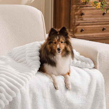 INFIIXSO Sherpa Throw Blanket for Couch - Super Soft & Warm Striped Fleece Blanket, Cozy Plush Fluffy Blanket All Season Use (Off White, 60x80 Inches) | Super Soft Thick Warm Striped Sherpa Blanket for Bed Sofa, Cozy Plush Fluffy Throw Gift for Women, Roo