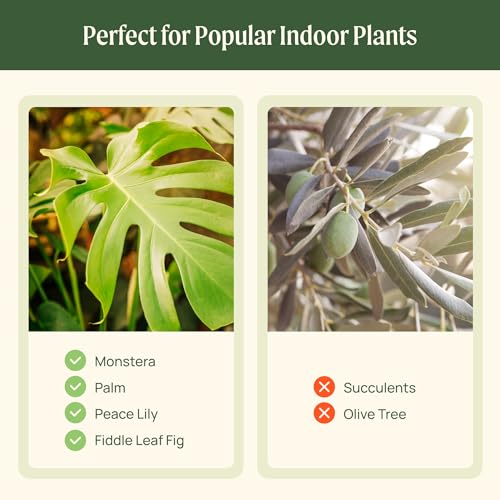 15 Inch Self-Watering Planter for Indoor Plants – Large Modern Plant Pot with Built-In Water Reservoir, Ideal for Monstera, Fiddle Leaf Fig, Palms & Peace Lily, Without Trellis (1, Sage Green) - color: Sage Green