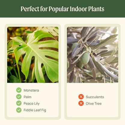 15 Inch Self-Watering Planter for Indoor Plants – Large Modern Plant Pot with Built-In Water Reservoir, Ideal for Monstera, Fiddle Leaf Fig, Palms & Peace Lily, Without Trellis (1, Fog Gray) - color: Fog Gray