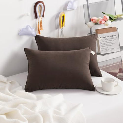 NTBAY Toddler Pillows, Set of 2, 13"x18", Dark Brown | Soft Microfiber Toddler Pillows with Down-Alternative Fill, 2 Pack 13 x 18 Inch Pillows for Beds, Daycare, and Travel - color: Dark Brown, size: 13"x18"