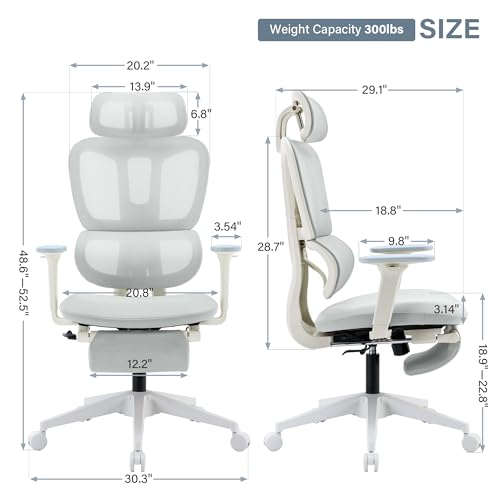 Ergonomic Office Chair with Footrest, 90-135° Reclining High Back Desk Chair with Lumbar Support, 2D Headrest, 2D Armrests, Computer Chair for Long Hours, Light Grey - color: Light Grey