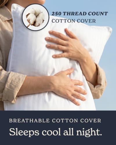 Beckham Hotel Collection Bed Pillows Standard/Queen Size Set of 2 | Original Soft Down Alternative Pillow for Sleeping, Soft Support for Back, Stomach or Side Sleepers - size: Queen / Standard