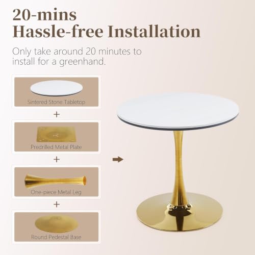 31.5" Round Dining Table, Sintered Stone Tulip Table with Gold Metal Pedestal Base, Modern Leisure Dining Table for Small Space, Kitchen, Dining Room (White and Gold) - color: White and Gold