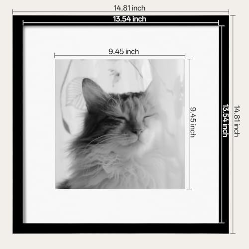 eletecpro 14x14 Picture Frame Set of 6, Display 10x10 with Mat | Lightweight & Sturdy, Easy to Create Gallery Wall, Acrylic Cover, No Acid Mat, Pre-installed Hardware, Ready to Hang - size: 14x14 for 10x10
