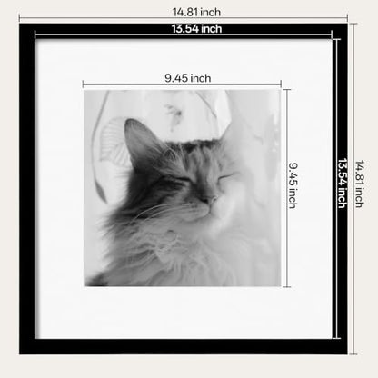 eletecpro 14x14 Picture Frame Set of 6, Display 10x10 with Mat | Lightweight & Sturdy, Easy to Create Gallery Wall, Acrylic Cover, No Acid Mat, Pre-installed Hardware, Ready to Hang - size: 14x14 for 10x10