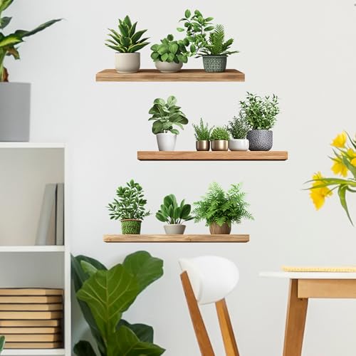 Green Plant Wall Decals 3D Bonsai Tropical Betterfly Wall Sticker Creative Vinyl Peel and Stick Removable Wall Art Decor for Living Room Bedroom Home Office (Green Plant 6) - style: Green Plant 6