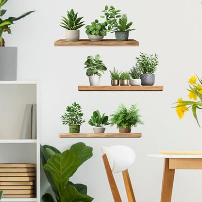 Green Plant Wall Decals 3D Bonsai Tropical Betterfly Wall Sticker Creative Vinyl Peel and Stick Removable Wall Art Decor for Living Room Bedroom Home Office (Green Plant 6) - style: Green Plant 6