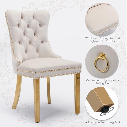 Velvet Upholstered Dining Chairs Set of 2, Modern Style Kitchen Side Chairs with Nailhead Trim and Gold Plated Leg, Metal Pulling Ring for Dining Room Living Room(Beige-Gold Plated Leg) - color: Beige-gold Plated Leg, size: Set of 2