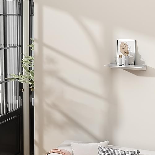 8 inch Small Floating Shelf for Wall Organizer & Storage, Mini Display Shelf, Metal Wall Shelf for Bathroom, Living Room, Kitchen, Bedroom(Silver) - color: Silver, size: 8 in