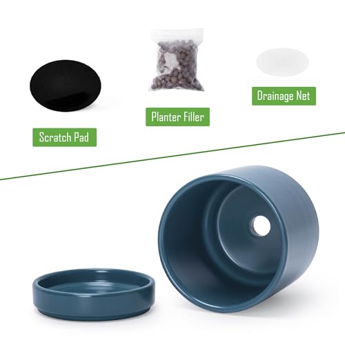 D'vine Dev 2-Pack Ceramic Pots with Saucers, Teal, 3.5 in, 94-V-A-9 | Modern Cylinder Design, Glazed Ceramic, Drainage Hole & Saucer Included, High Temperature Fired, Elegant Home Accent - color: Teal, size: 3.5 Inch