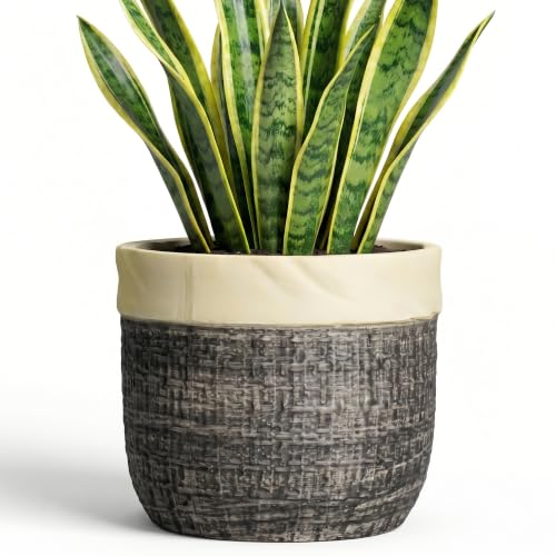 8 Inch Plant Pot, Ceramic Flower Pots, Round Planter, Light Black | Decorative Pots for Plants for Indoor Plants, Boho Plant Pot with Drainage Hole, Living Room Decor, Plant Lover Gifts - color: Light Black, size: 8 Inch