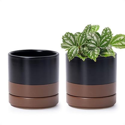 D'vine Dev 2-Pack Ceramic Pots with Saucers, Black/Tan, 4.7 in, 94-V-B-7 | Modern Cylinder Design, Glazed Ceramic, Drainage Hole & Saucer Included, High Temperature Fired, Elegant Home Accent - color: Black/Speckled Tan, size: 4.7 Inch