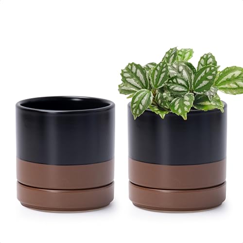 D'vine Dev 2-Pack Ceramic Pots with Saucers, Black/Tan, 4.7 in, 94-V-B-7 | Modern Cylinder Design, Glazed Ceramic, Drainage Hole & Saucer Included, High Temperature Fired, Elegant Home Accent - color: Black/Speckled Tan, size: 4.7 Inch