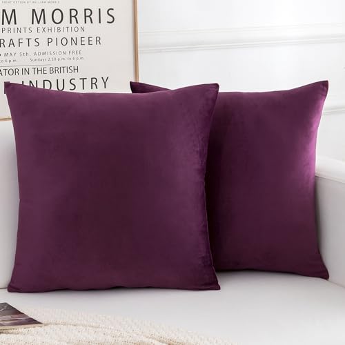Velvet Decorative Throw Pillow Covers, Soft Square Cushion Case Home Decor for Living Room Couch Bed Sofa, Set of 2 Pack, Eggplant Purple, 18x18 Inch - color: Eggplant Purple, size: 18" x 18" (Pack of 2)