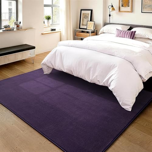 Vasofe 5x7 Minimalist Washable Area Rugs for Bedroom Living Room Classroom | Modern Soft Memory Foam Rug for Kids Nursery, Low Plie Indoor Carpet for Dorm Dining Office Bedside Room Decor, Purple - color: Purple, size: 5' x 7' (Rectangular)