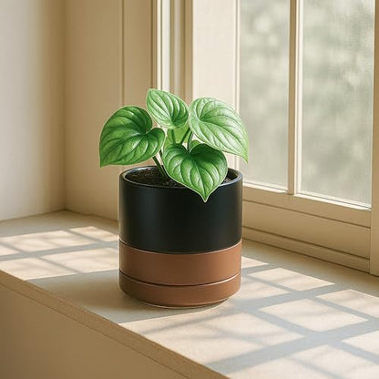 D'vine Dev 2-Pack Ceramic Pots with Saucers, Black/Tan, 4.7 in, 94-V-B-7 | Modern Cylinder Design, Glazed Ceramic, Drainage Hole & Saucer Included, High Temperature Fired, Elegant Home Accent - color: Black/Speckled Tan, size: 4.7 Inch