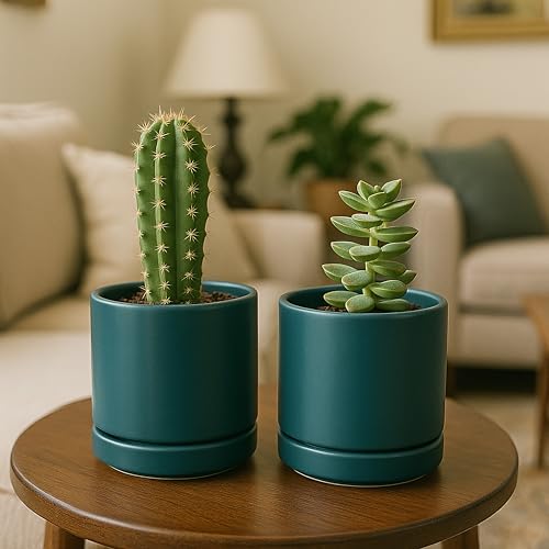 D'vine Dev 2-Pack Ceramic Pots with Saucers, Teal, 4.7 in, 94-V-B-9 | Modern Cylinder Design, Glazed Ceramic, Drainage Hole & Saucer Included, High Temperature Fired, Elegant Home Accent - color: Teal, size: 4.7 Inch